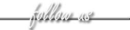follow-us